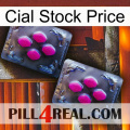 Cial Stock Price 01